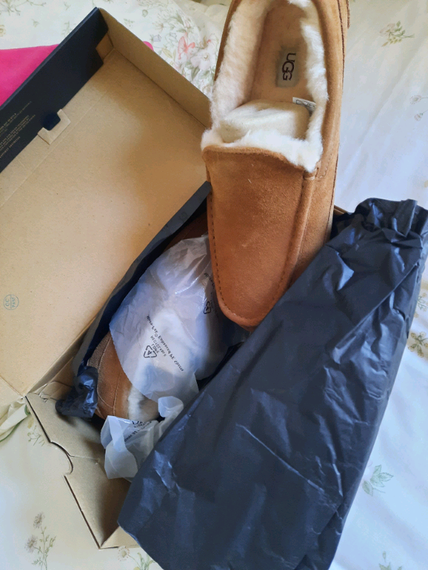 mens ugg slippers 11